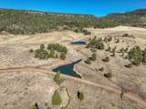 275 Highway 120 - Photo 49
