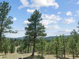19 Laguna Negra Rd - Photo 26