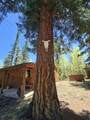 46 Clint Rd - Photo 42