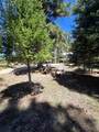 46 Clint Rd - Photo 43
