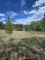 46 Clint Rd - Photo 45