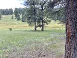Lot 79 San Juan - Photo 1