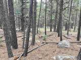 Lot 79 San Juan - Photo 2