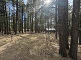 Lot 12 Broadmoor Way - Photo 3