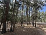 Lot 12 Broadmoor Way - Photo 4