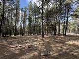 Lot 12 Broadmoor Way - Photo 5