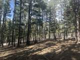 Lot 12 Broadmoor Way - Photo 7