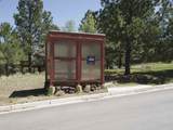 44 Mammoth Mountain - Photo 31