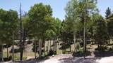 Lot 1325 Sierra Blanca Cir - Photo 1