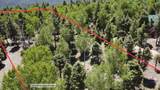 Lot 1325 Sierra Blanca Cir - Photo 2