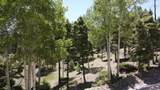 Lot 1325 Sierra Blanca Cir - Photo 4