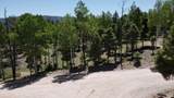 Lot 1325 Sierra Blanca Cir - Photo 5