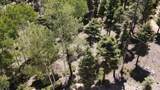 Lot 1325 Sierra Blanca Cir - Photo 6