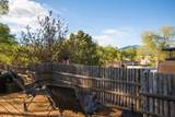 228 Valverde - Photo 42