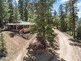 1011 Tenderfoot Trail - Photo 28