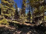 Lot 1536 El Camino Real - Photo 6