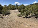 tbd Off Nm 518 Lot 7 - Photo 6