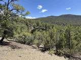 tbd Off Nm 518 Lot 8 - Photo 7