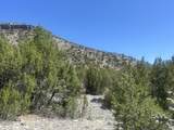 2970 State Hwy 68 - Photo 20