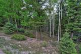 Lot 453 El Camino Real - Photo 11