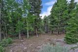 Lot 453 El Camino Real - Photo 12