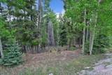 Lot 453 El Camino Real - Photo 14