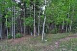 Lot 453 El Camino Real - Photo 16