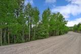 Lot 453 El Camino Real - Photo 5