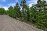 Lot 453 El Camino Real - Photo 8