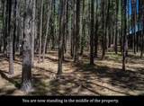 Lot 551 Cimarron Trail - Photo 10