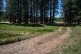 Lot 551 Cimarron Trail - Photo 5