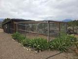 187 Los Rios Road - Photo 5