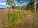 86 Camino Onesimo Lane - Photo 21