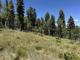 Lot 106 Zia Rd - Photo 13
