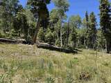 Lot 106 Zia Rd - Photo 14