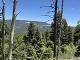 Lot 106 Zia Rd - Photo 5