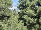 Lot 106 Zia Rd - Photo 7