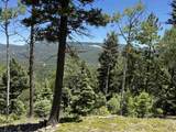 Lot 106 Zia Rd - Photo 9