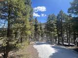 Lot 369 Vail Loop - Photo 2