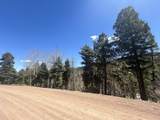 Lot 369 Vail Loop - Photo 3