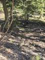 Lot 32 Deer Mesa Road - Photo 11