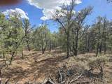 Lot 32 Deer Mesa Road - Photo 12