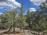Lot 32 Deer Mesa Road - Photo 13