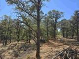 Lot 32 Deer Mesa Road - Photo 14