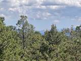 Lot 32 Deer Mesa Road - Photo 17
