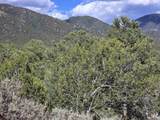 Lot 32 Deer Mesa Road - Photo 18