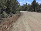 Lot 32 Deer Mesa Road - Photo 2