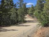 Lot 32 Deer Mesa Road - Photo 3