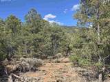 Lot 32 Deer Mesa Road - Photo 5