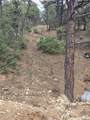 Lot 32 Deer Mesa Road - Photo 8